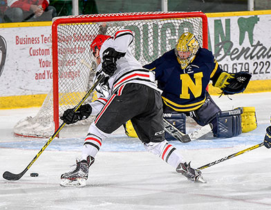 ACAC Men's Hockey Quarter final preview