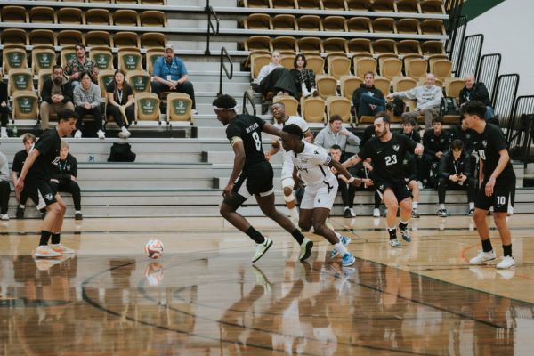 Rattlers defeat Ooks for gold
