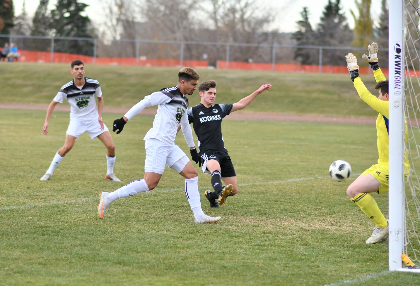 Red Deer Polytechnic Kings down Kodiaks in division semi-finals