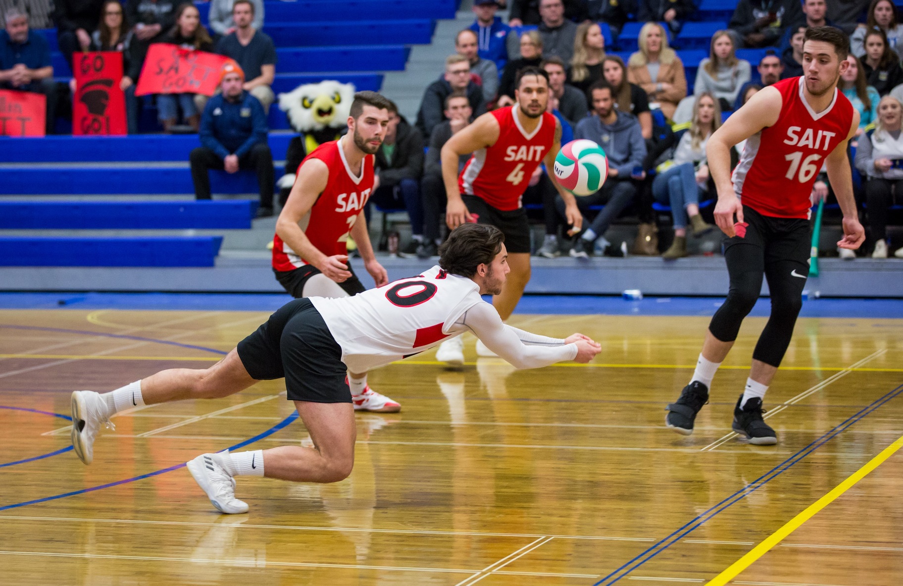 Ooks Fall To Trojans