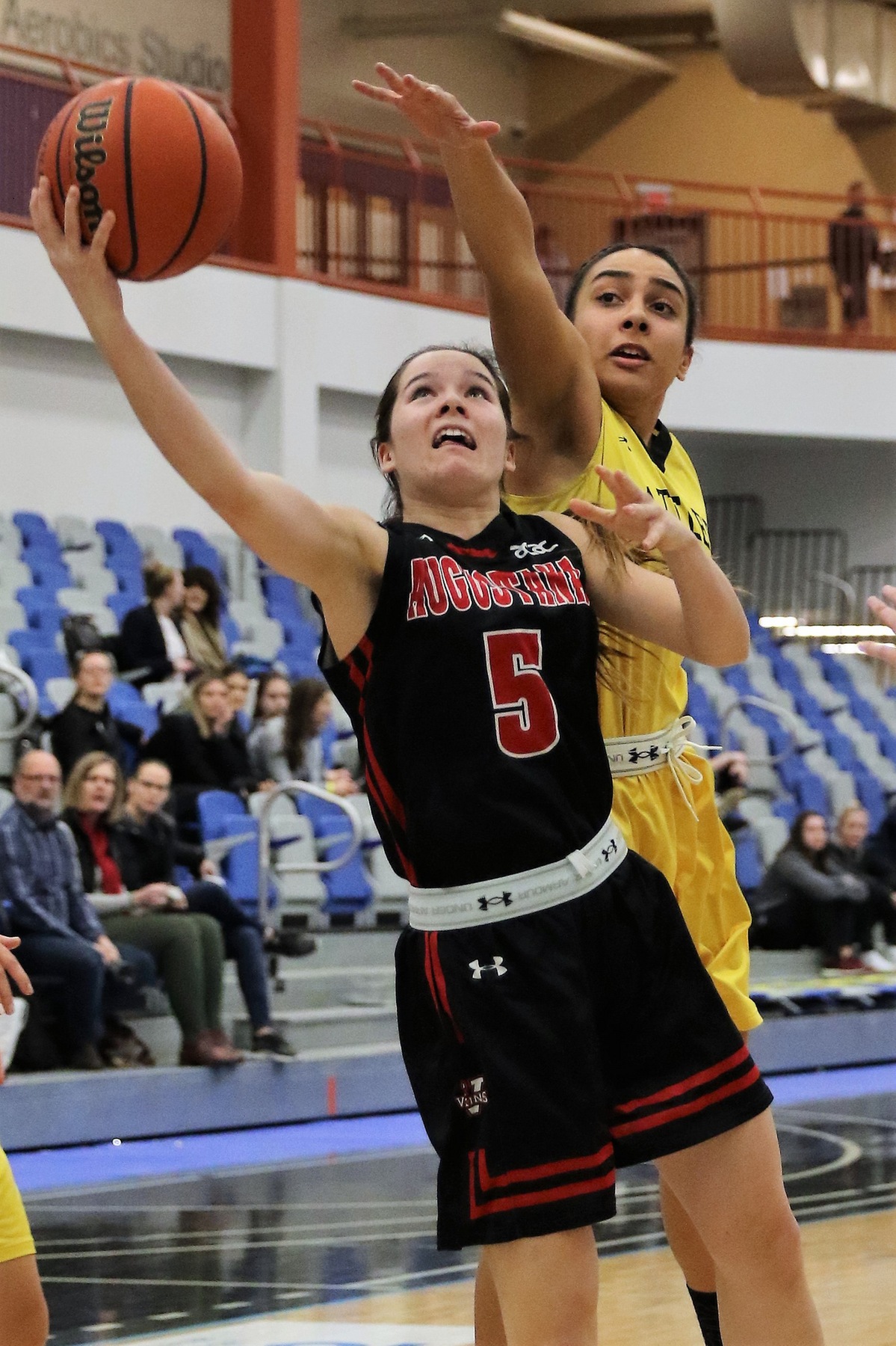Alberta AugustanaVikings 74 Medicine Hat College Rattlers 67  &nbsp;