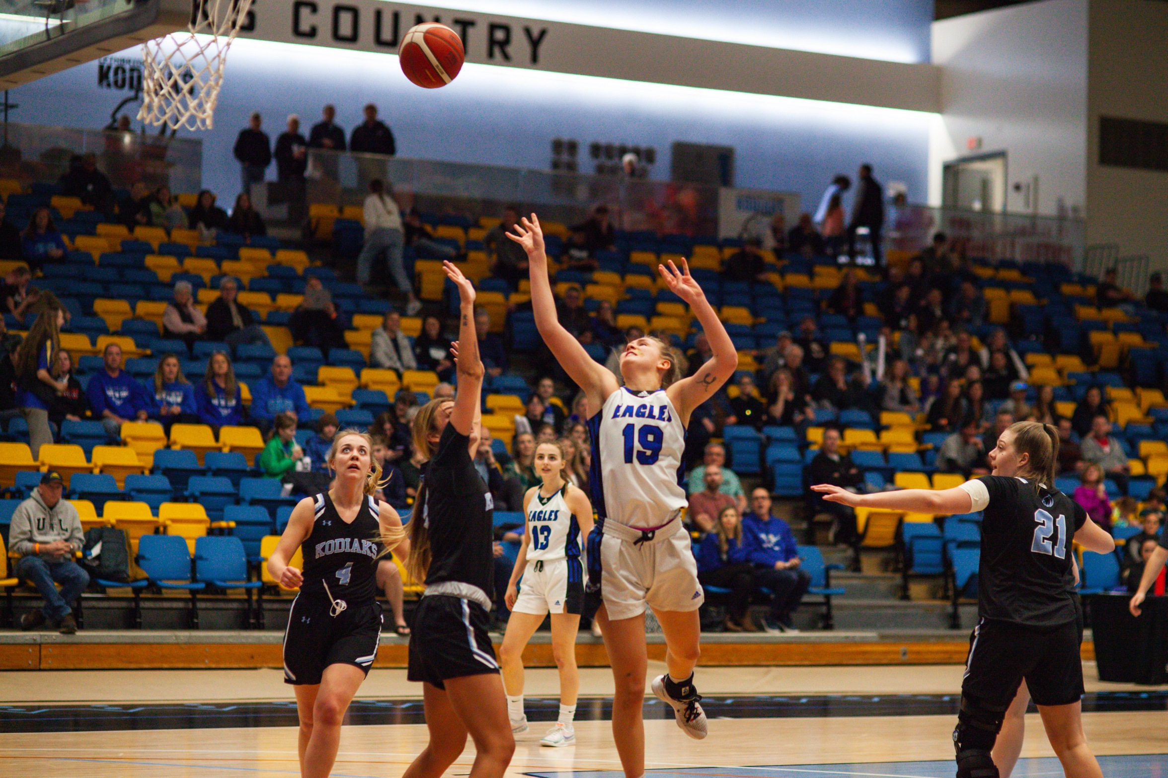 Eagles overcome adversity to hold off Kodiaks 68-63&nbsp;