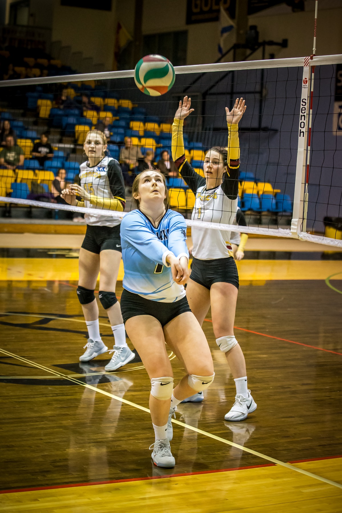 WVB | Kodiaks jump into third with win over Olds