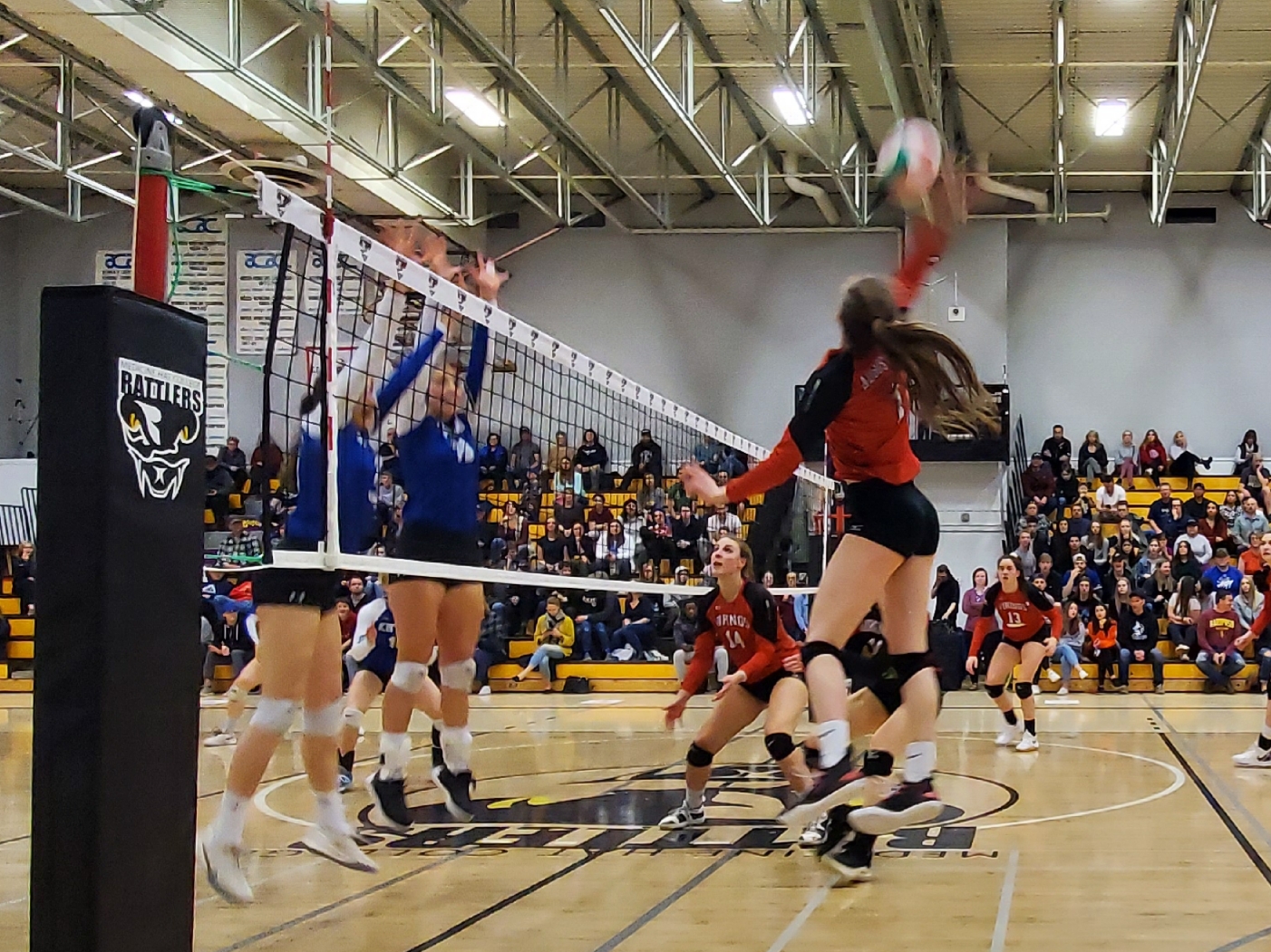 Eagles win Bronze over Vikings