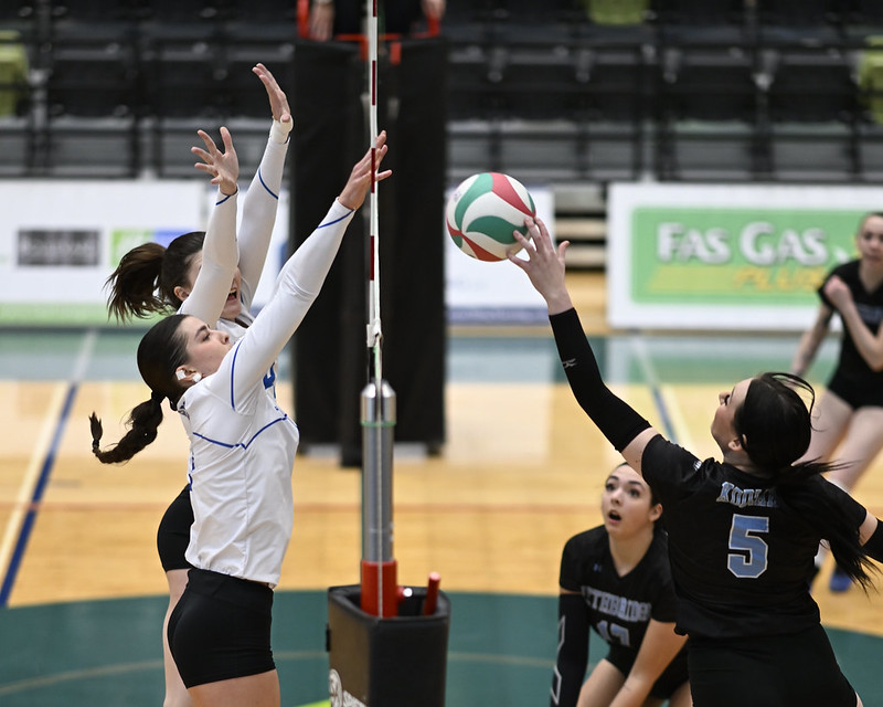 Kodiaks win in an early bid for the best match of the championship
