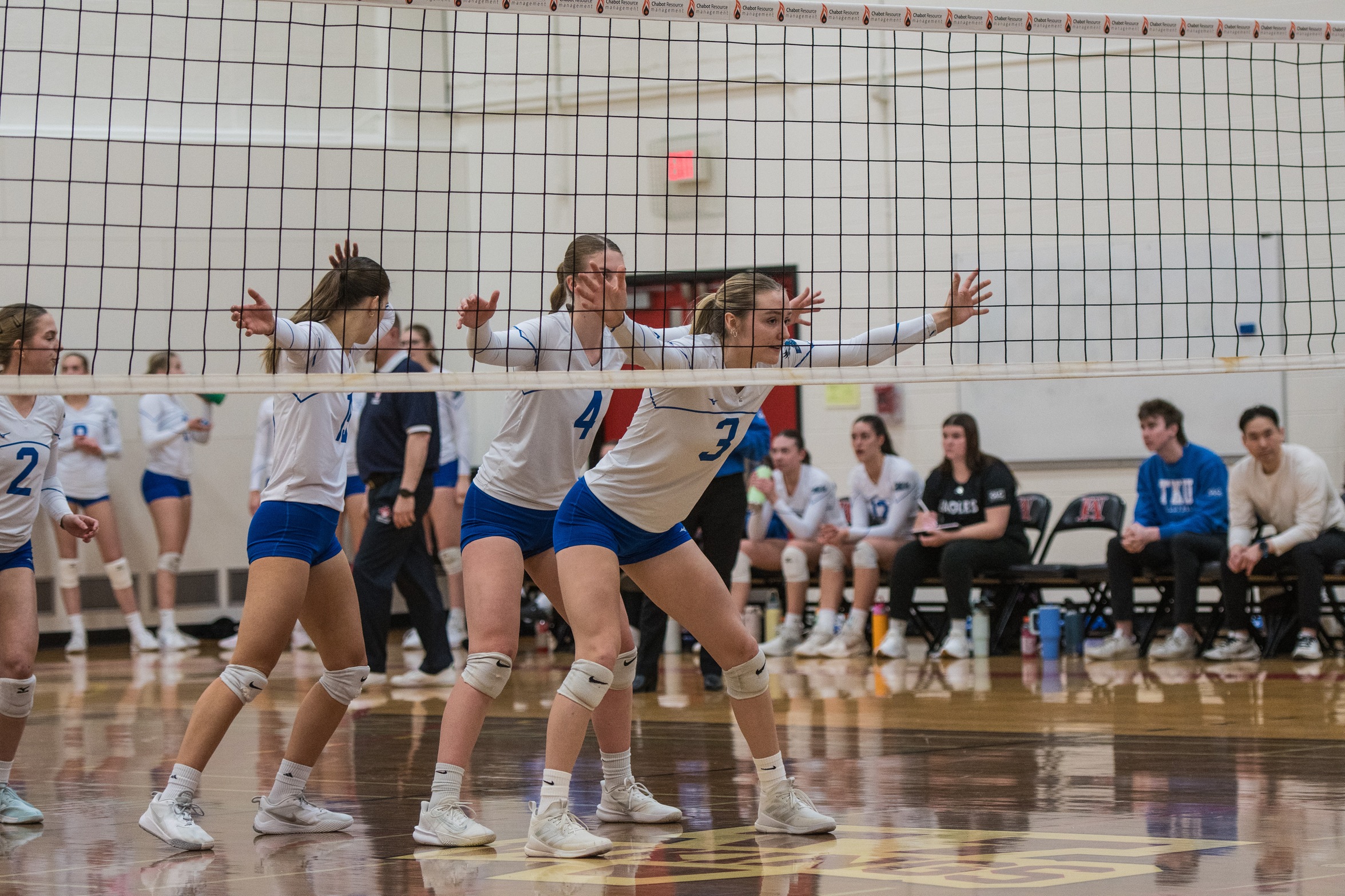 Eagles hold off hungry Lions in a five-set victory to advance